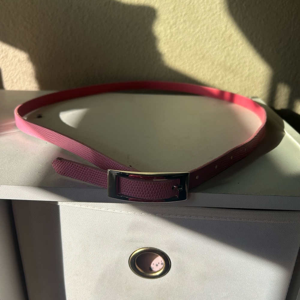 Banana Republic Pink Belt with Silver Buckle